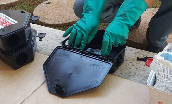 Dedetizadora de Ratos em Cabreúva - SP 