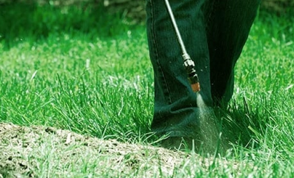 Serviço de Dedetização de Formigas em Hortolândia - SP Serviço de Dedetização de Formigas em Hortolândia - SP
